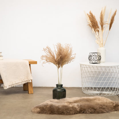 Fluffy Reed Grass, getrocknet