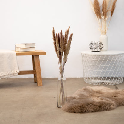 Pampasgras Mini - Reed bunch